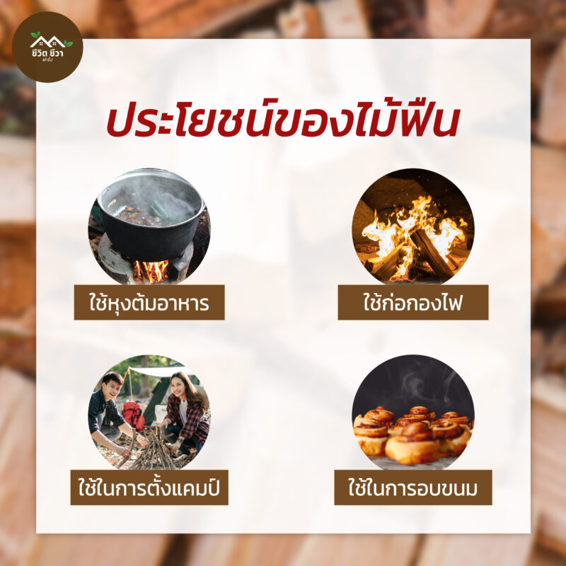 ไม้ฟืน เชื้อเพลิงก่อไฟ
