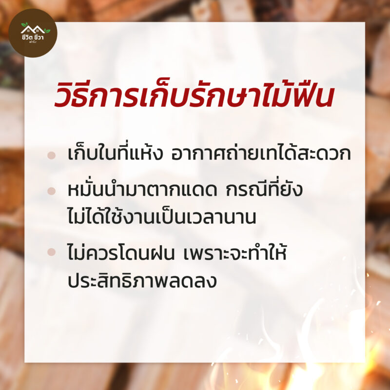 ไม้ฟืน เชื้อเพลิงก่อไฟ