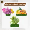 หน้าดินร่วน กระสอบ