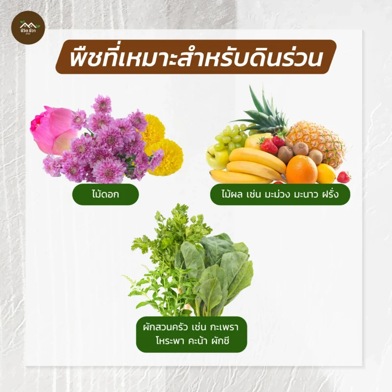 หน้าดินร่วน กระสอบ