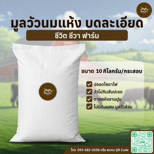 มูลวัวนมแห้ง บดละเอียด แบบกระสอบ