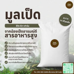 มูลเป็ด กระสอบ