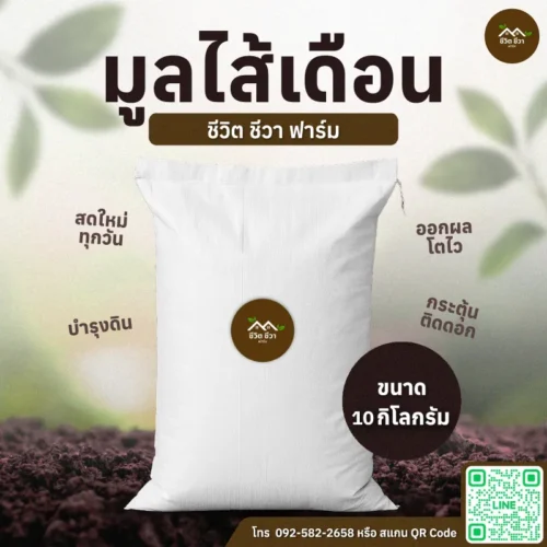 มูลไส้เดือน กระสอบ