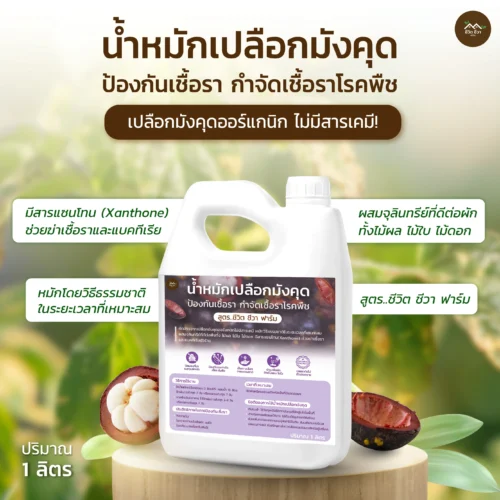น้ำหมักเปลือกมังคุด