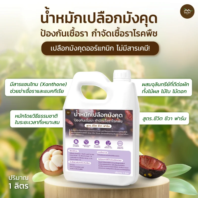 น้ำหมักเปลือกมังคุด