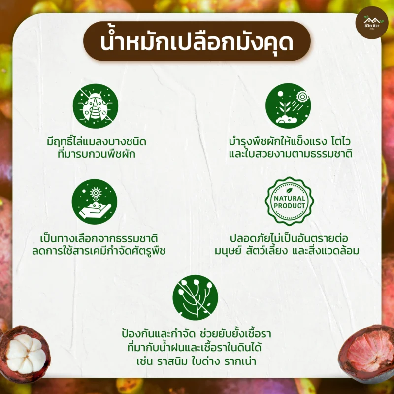น้ำหมักเปลือกมังคุด