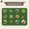 ชีวภัณฑ์ Ohoเชื้อราบิวเวอร์เรีย เมตาไรเซียม