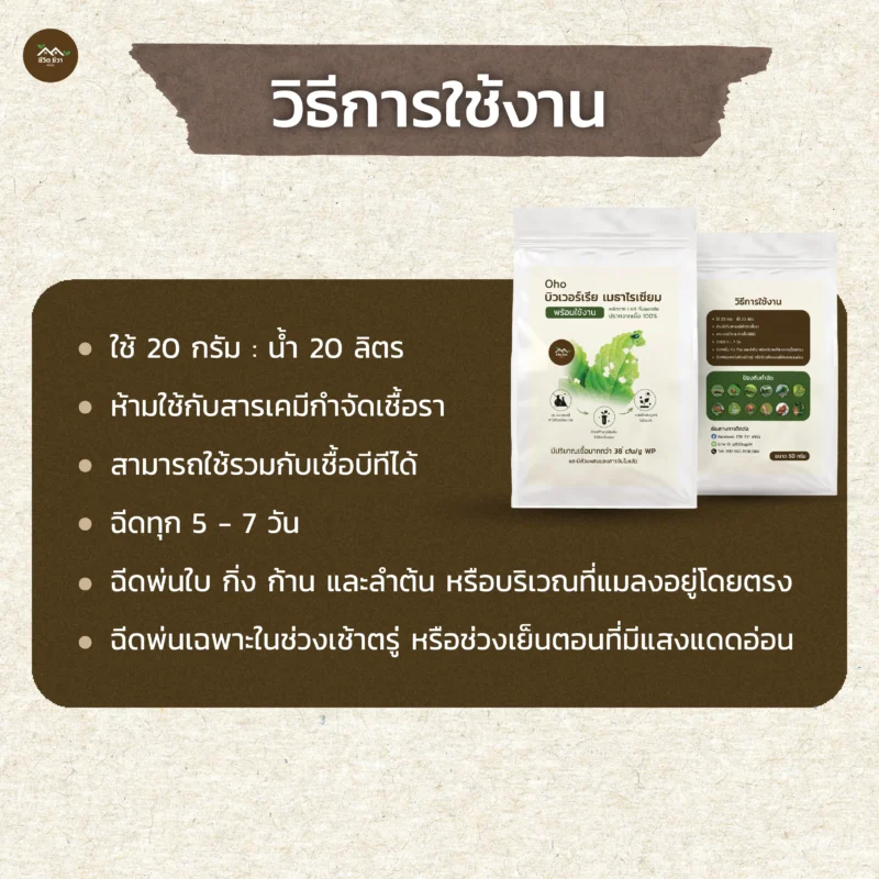 ชีวภัณฑ์ Ohoเชื้อราบิวเวอร์เรีย เมตาไรเซียม