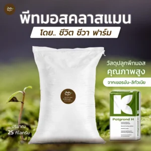 พีทมอส คลาสแมน แบบกระสอบ