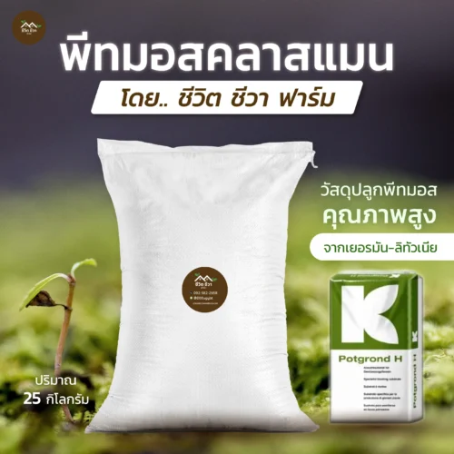 พีทมอส คลาสแมน แบบกระสอบ