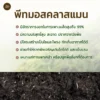 พีทมอส คลาสแมน แบบกระสอบ