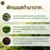 พีทมอส คลาสแมน แบบกระสอบ