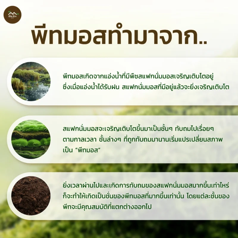 พีทมอส คลาสแมน แบบกระสอบ