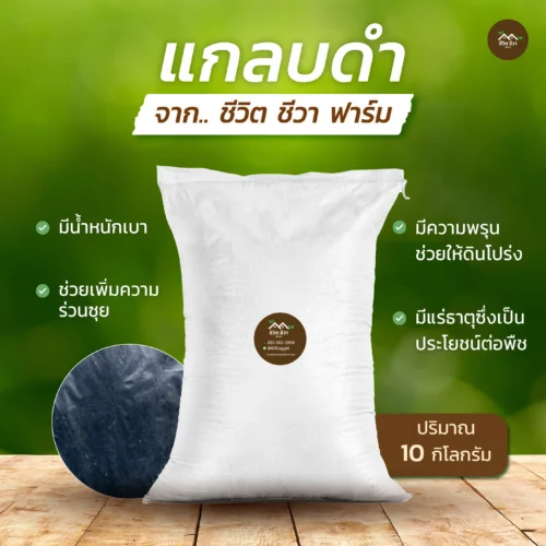 แกลบดำ กระสอบ