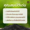 แกลบดำ กระสอบ