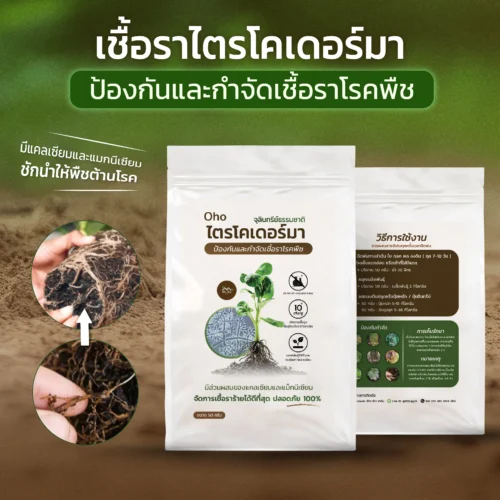 ชีวภัณฑ์ Ohoเชื้อราไตรโคเดอร์มา