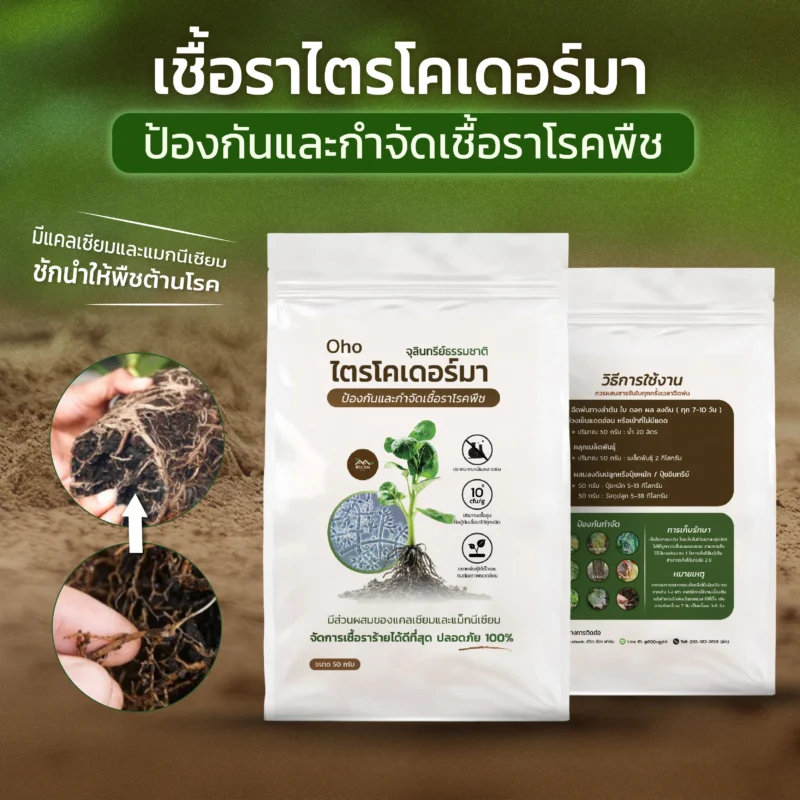 ชีวภัณฑ์ Ohoเชื้อราไตรโคเดอร์มา