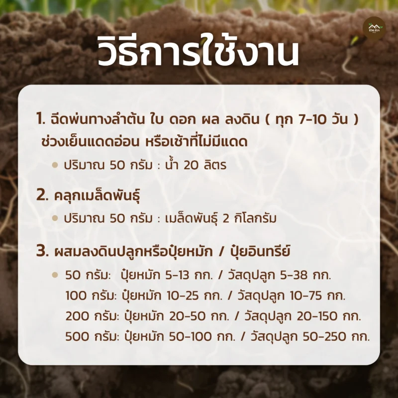 ชีวภัณฑ์ Ohoเชื้อราไตรโคเดอร์มา