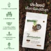 ชีวภัณฑ์ Ohoเชื้อราไมคอร์ไรซ่า
