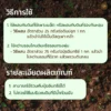 ชีวภัณฑ์ Ohoเชื้อราไมคอร์ไรซ่า