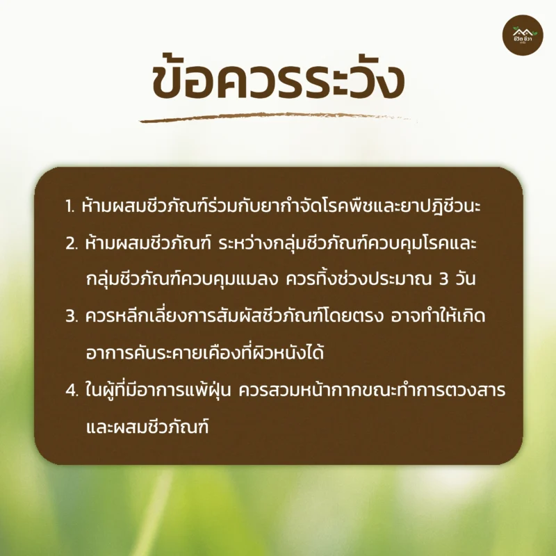 ชีวภัณฑ์ Ohoไลซินัส เชื้อราพาซิโลมัยซิส ลาลาซินัส