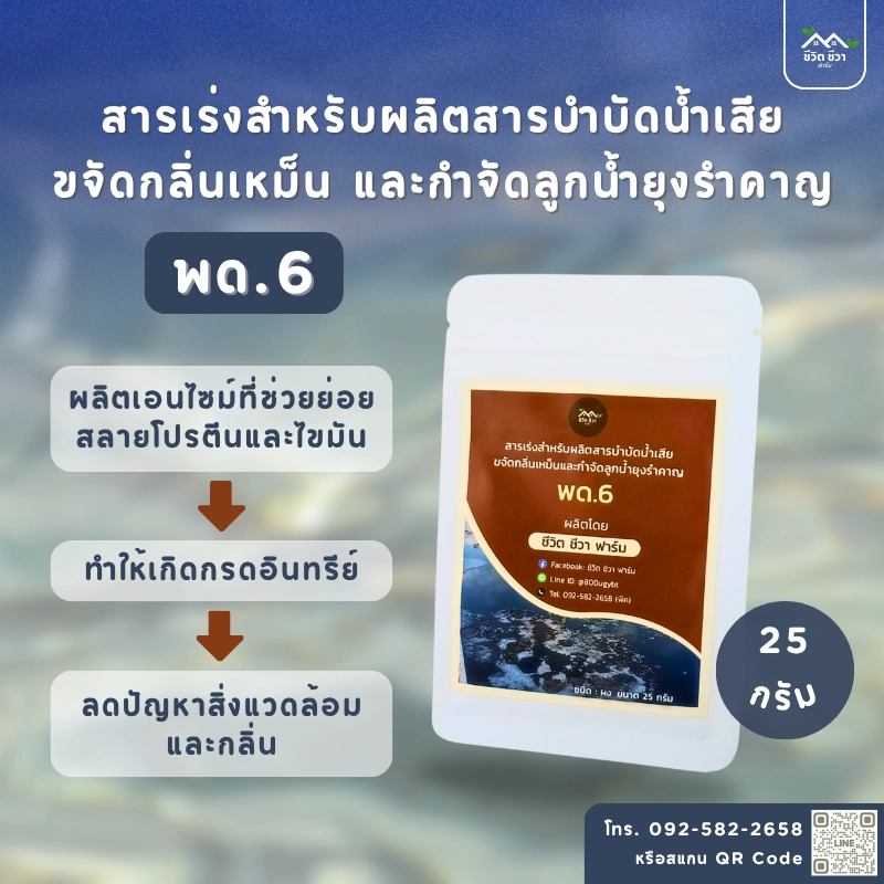 สารเร่ง พด.6 บำบัดน้ำเสียและขจัดกลิ่นเหม็น กำจัดลูกน้ำ ยุงลาย