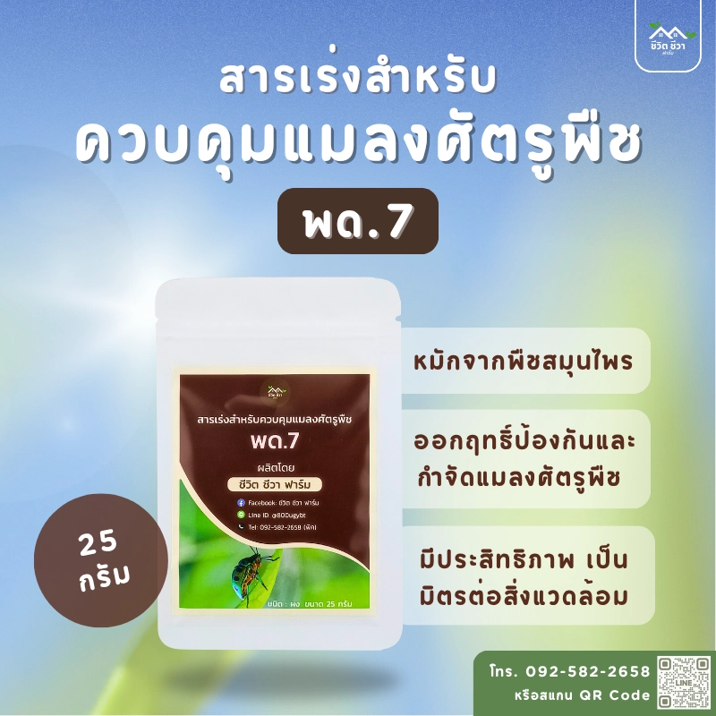 พด. 7 สำหรับผลิตสารป้องกันแมลงศัตรูพืช - ชีวิต ชีวา ฟาร์ม
