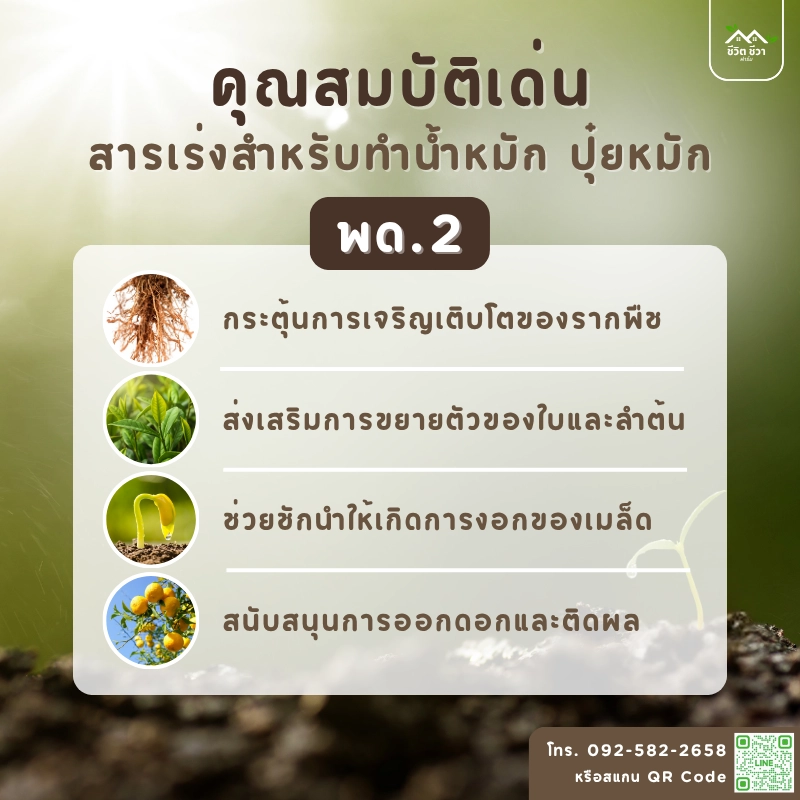 สารเร่ง พด.2 ทำปุ๋ยน้ำอินทรีย์ น้ำหมัก - ชีวิต ชีวา ฟาร์ม