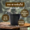 กระถางต้นไม้ 10 นิ้ว