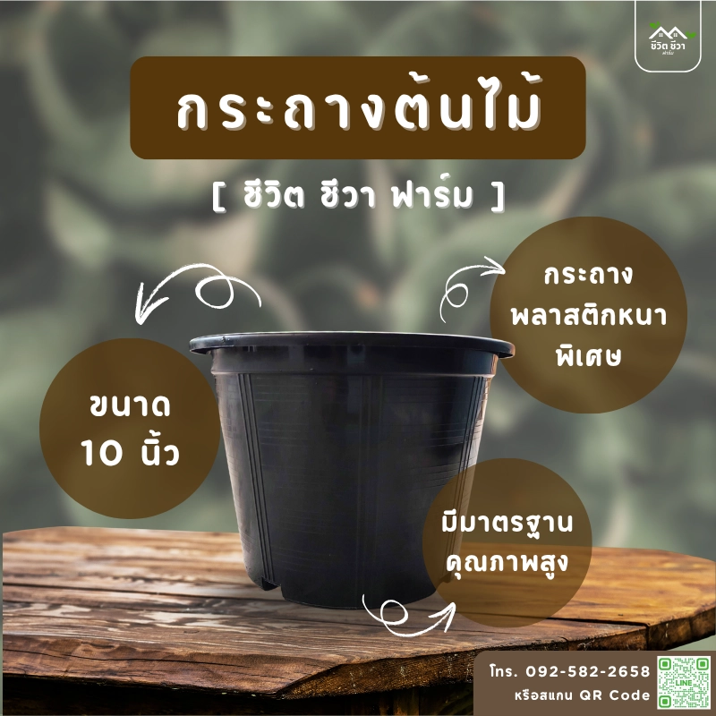 กระถางต้นไม้ 10 นิ้ว