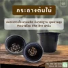 กระถางต้นไม้ 10 นิ้ว
