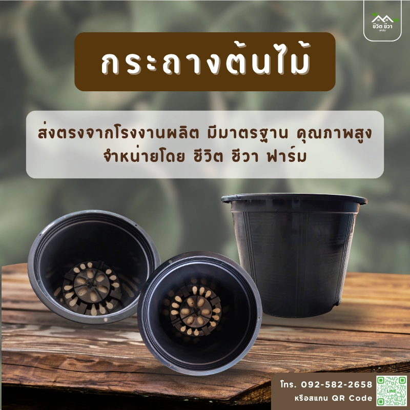 กระถางต้นไม้ 10 นิ้ว