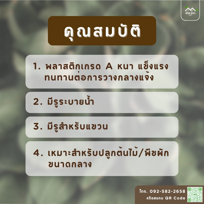 กระถางต้นไม้ 10 นิ้ว