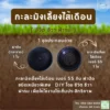 กะละมังเลี้ยงไส้เดือน