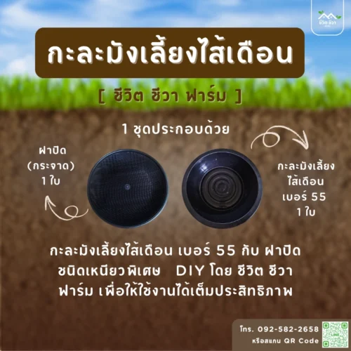 กะละมังเลี้ยงไส้เดือน