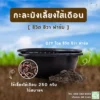 กะละมังเลี้ยงไส้เดือน