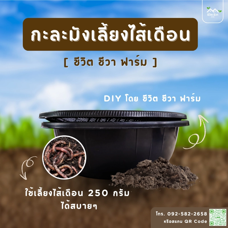 กะละมังเลี้ยงไส้เดือน