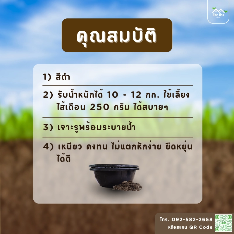 กะละมังเลี้ยงไส้เดือน