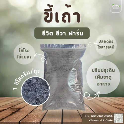 ขี้เถ้า