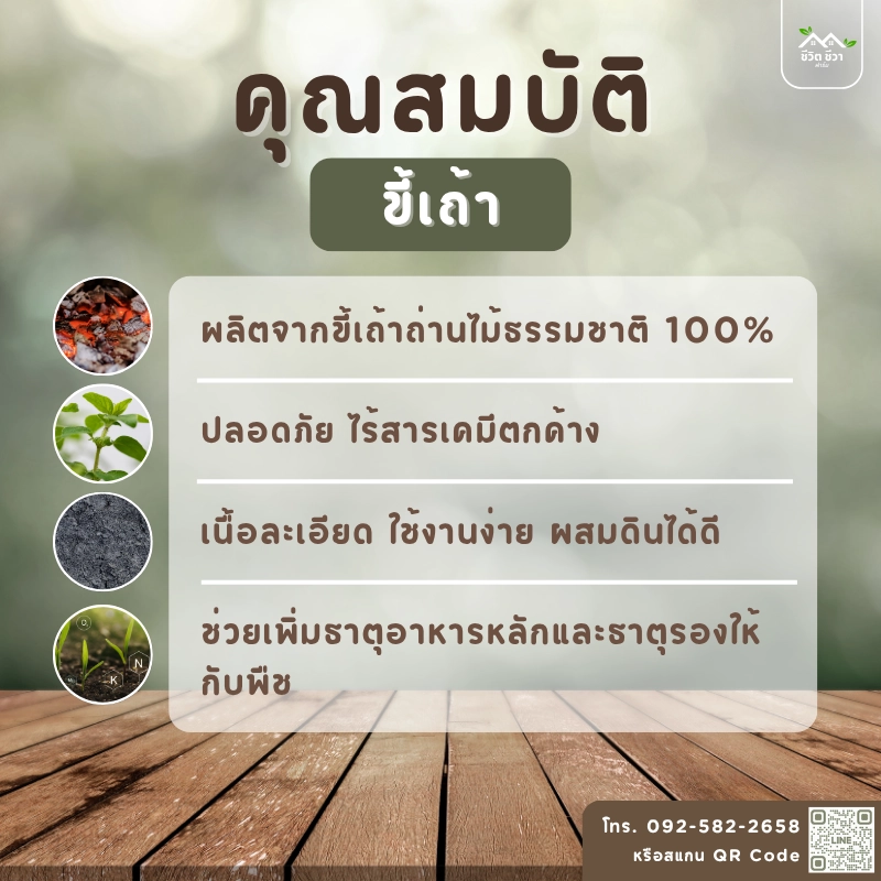 ขี้เถ้าถ่าน ไร้สารเคมี