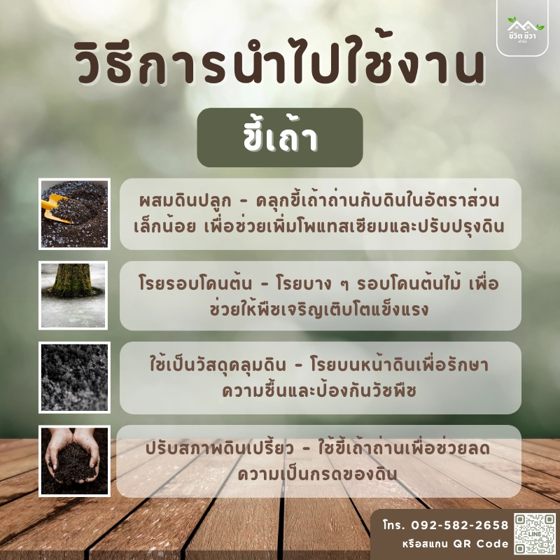 ขี้เถ้าถ่าน ไร้สารเคมี