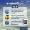 สารเร่ง พด.6 บำบัดน้ำเสียและขจัดกลิ่นเหม็น กำจัดลูกน้ำ ยุงลาย
