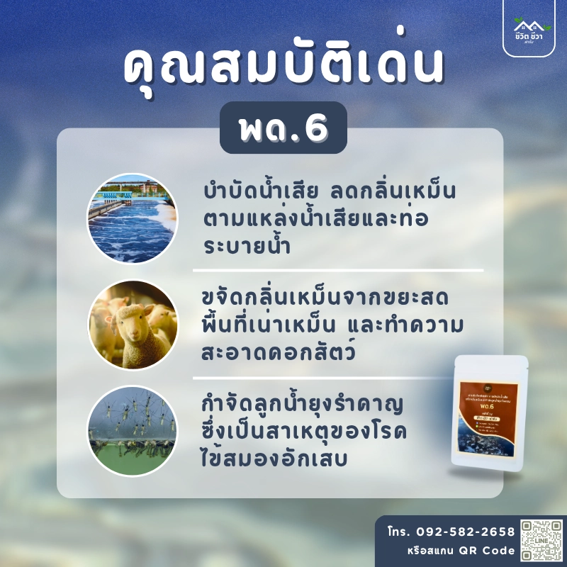 สารเร่ง พด.6 บำบัดน้ำเสียและขจัดกลิ่นเหม็น กำจัดลูกน้ำ ยุงลาย