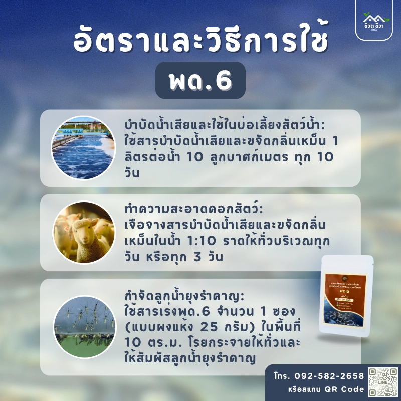 สารเร่ง พด.6 บำบัดน้ำเสียและขจัดกลิ่นเหม็น กำจัดลูกน้ำ ยุงลาย