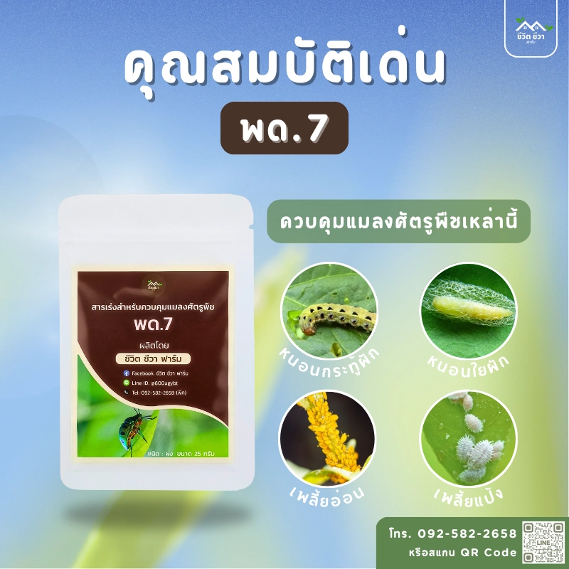พด. 7 สำหรับผลิตสารป้องกันแมลงศัตรูพืช