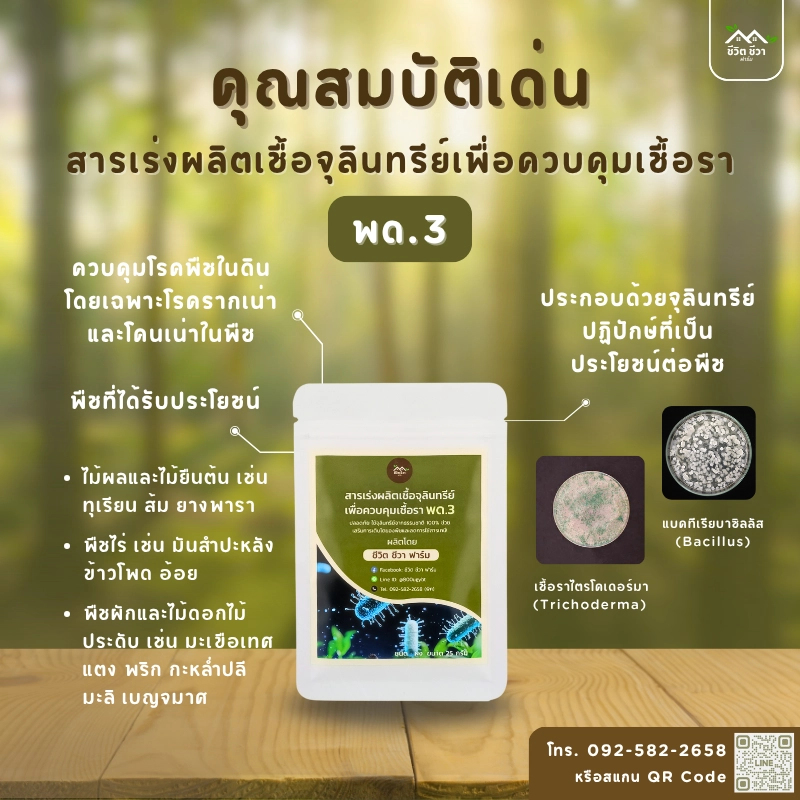 สารเร่ง พด.3 สำหรับผลิตเชื้อจุลินทรีย์ เพื่อควบคุมเชื้อรา