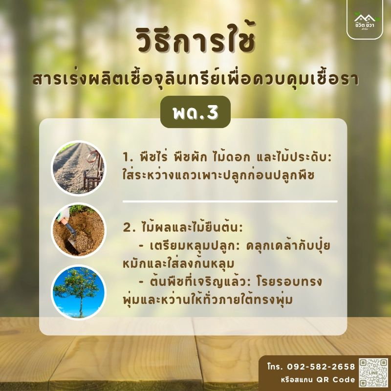 สารเร่ง พด.3 สำหรับผลิตเชื้อจุลินทรีย์ เพื่อควบคุมเชื้อรา