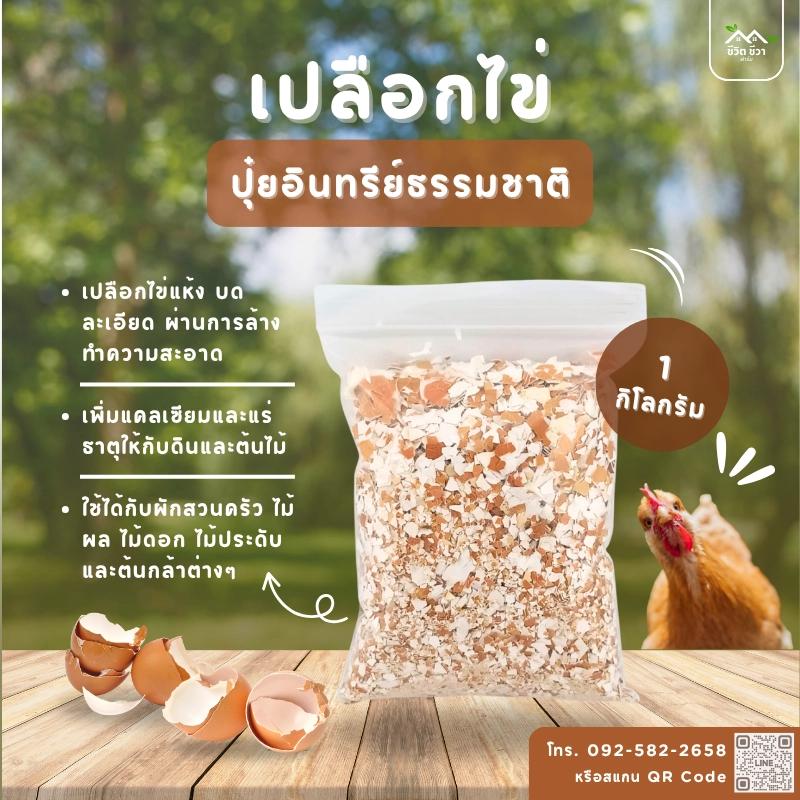 เปลือกไข่ 1 กก.