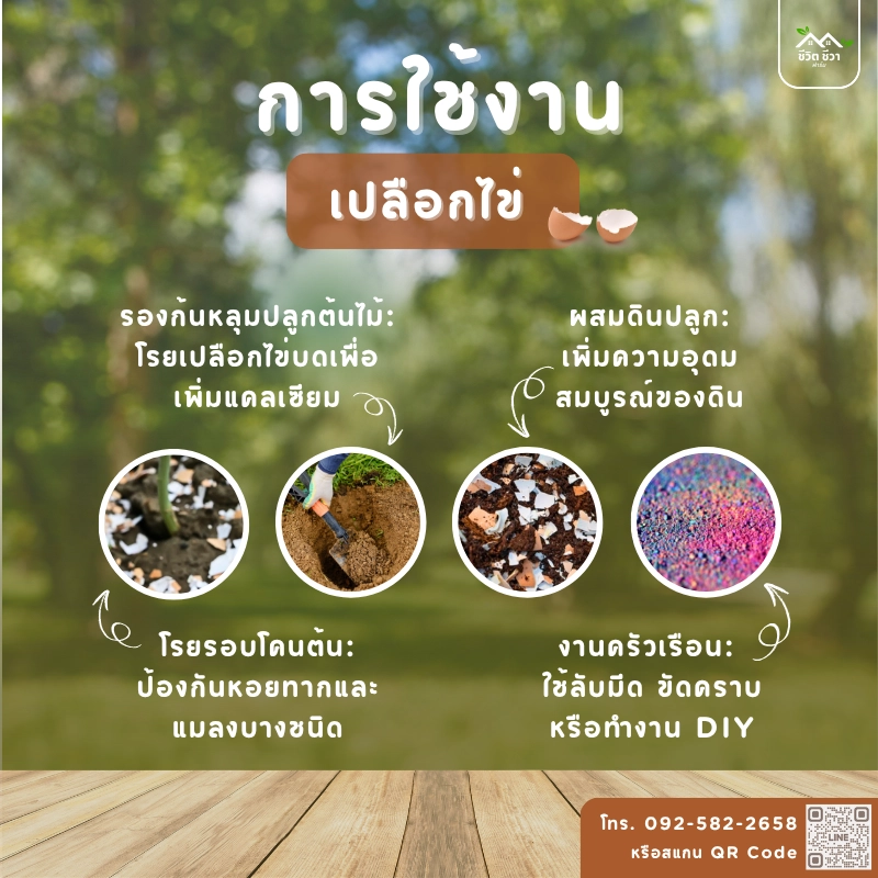 วิธีการใช้งานเปลือกไข่
