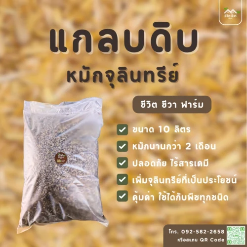 แกลบดิบหมักจุลินทรีย์